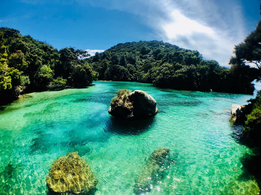 Mārahau: Abel Tasman Marine Reserve Kayak Tour - Starting at Onetahuti and finishing at Anchorage