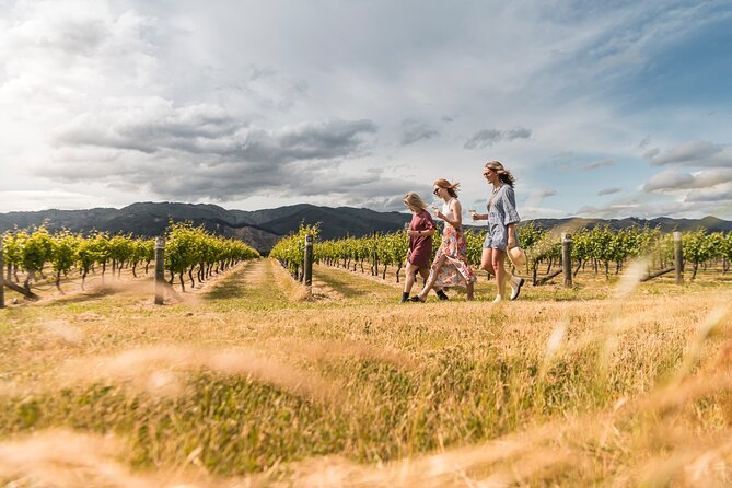 Marlborough Afternoon Wine Tour with Tastings - What the winery stops can offer