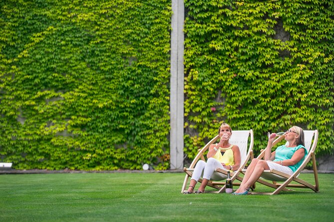 Marlborough Afternoon Wine Tour with Tastings - What the afternoon feels like