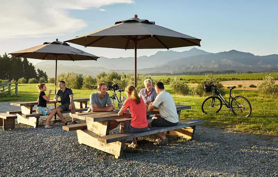Marlborough: Full-Day Self-Guided Biking Wine Tour - Why a bicycle suits Marlborough wine country