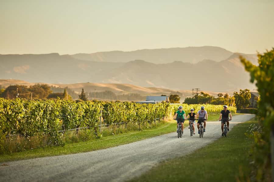 Marlborough: Full-Day Self-Guided Biking Wine Tour - Planning your winery loop