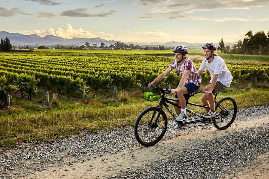Marlborough: Full-Day Self-Guided Biking Wine Tour - Starting at The Vines Village