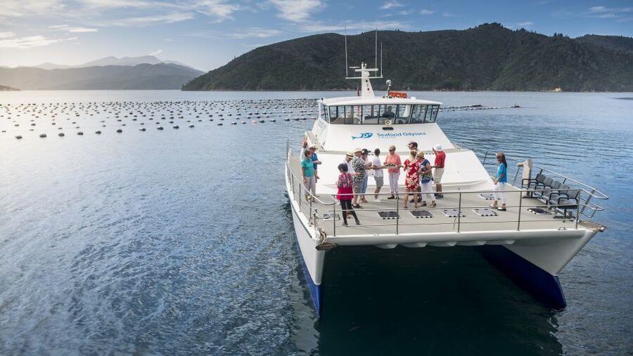 Marlborough: Full-Day Wine and Seafood Tour with Cruise - Lunch before the boat