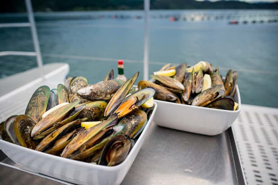 Marlborough: Full-Day Wine and Seafood Tour with Cruise - 9:15 or 9:30 pickup in Blenheim
