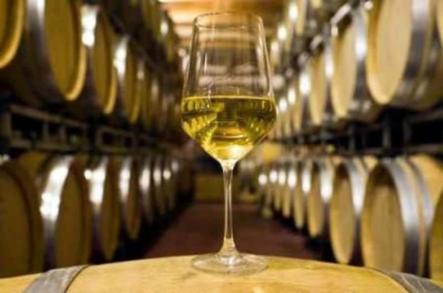 Marlborough Full Day Wine Tour - The possible chocolate finish at Makana