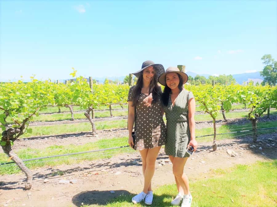 Marlborough: Full Day "Winemaker's Tour" - Key points at a glance