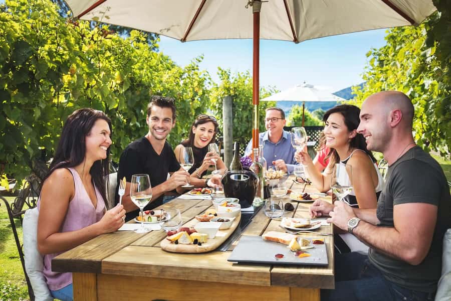 Marlborough: Full Day "Winemaker's Tour" - Five wineries, one clear picture of Marlborough wine