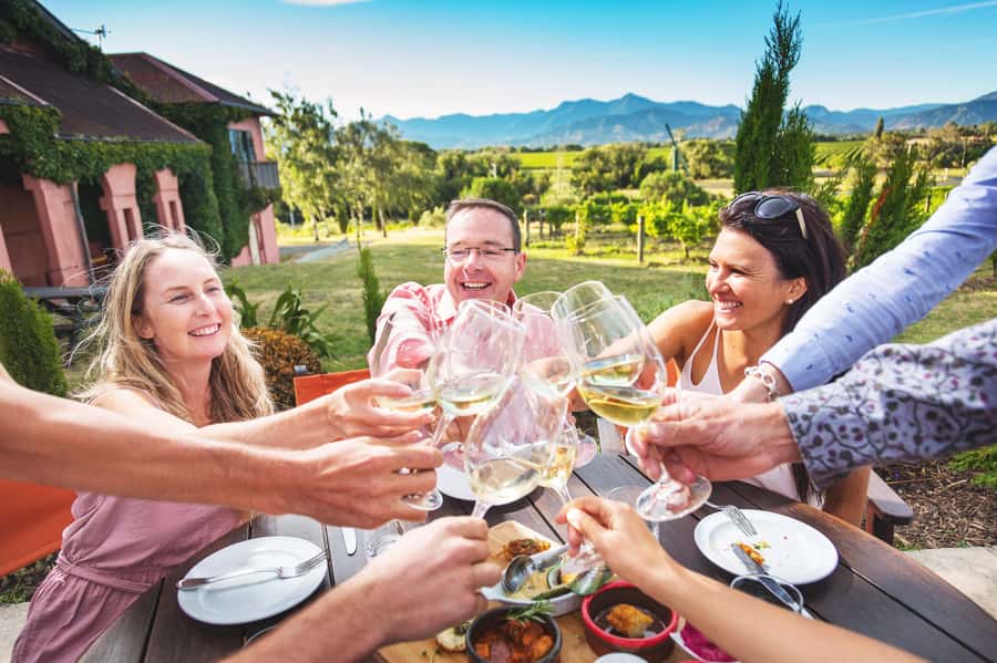 Marlborough: Full Day "Winemaker's Tour" - A vineyard talk puts the wine in context