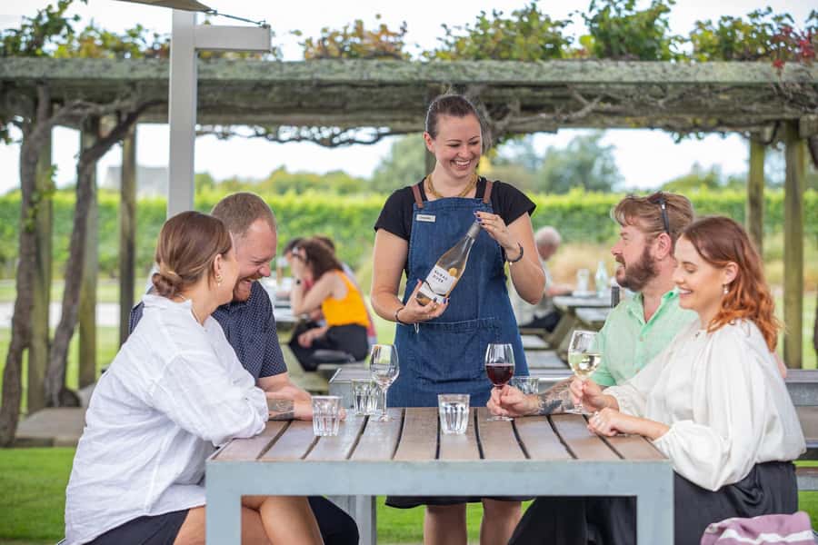 Marlborough: Full Day "Winemaker's Tour" - Behind the scenes at a modern working winery