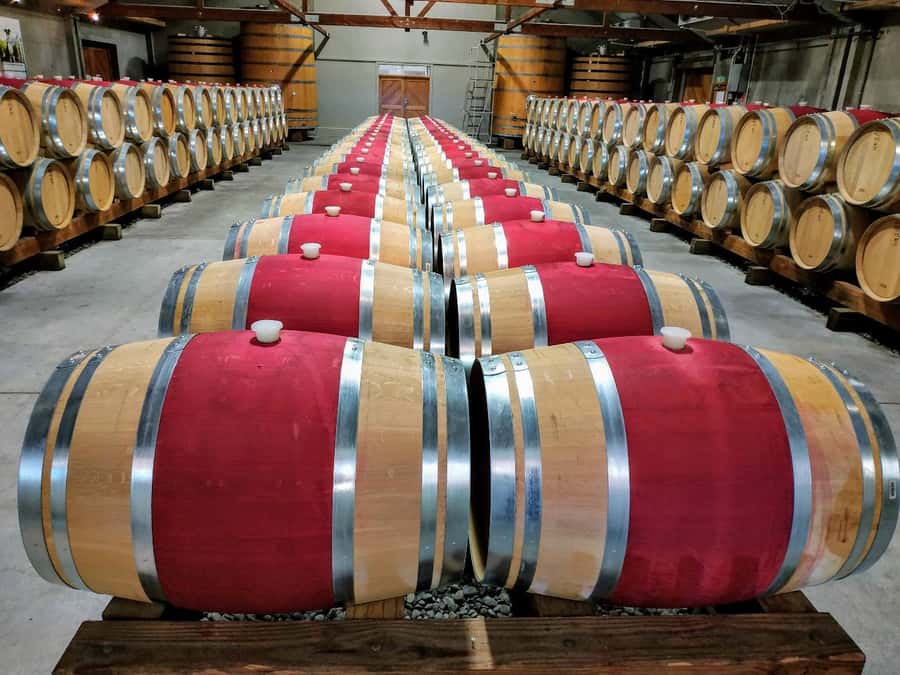 Marlborough: Half Day Blenheim Wine Tour - Eating & Sipping - Key points at a glance