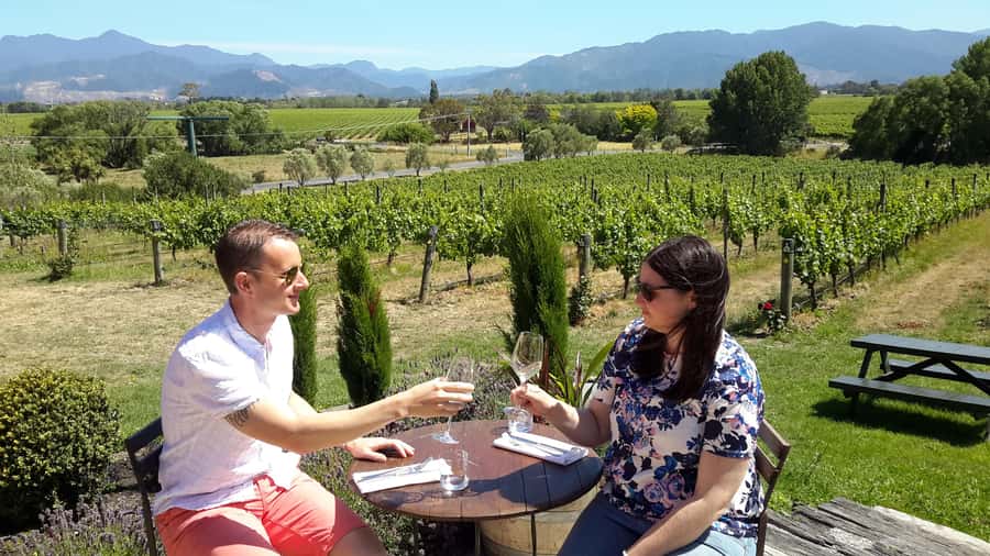 Marlborough Half-Day Wine Tour from Blenheim - Practical tips before you go