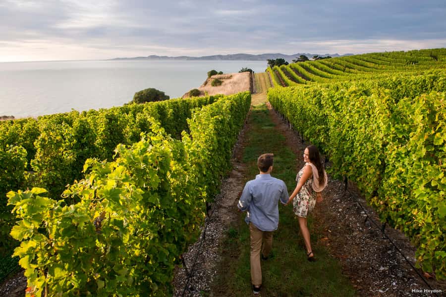 Marlborough Half-Day Wine Tour from Blenheim - Who will enjoy this Marlborough outing?