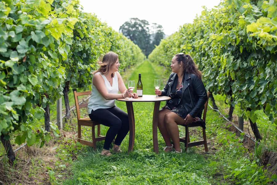 Marlborough Half Day Wine Tour From Picton - Why this half-day tour works from Picton