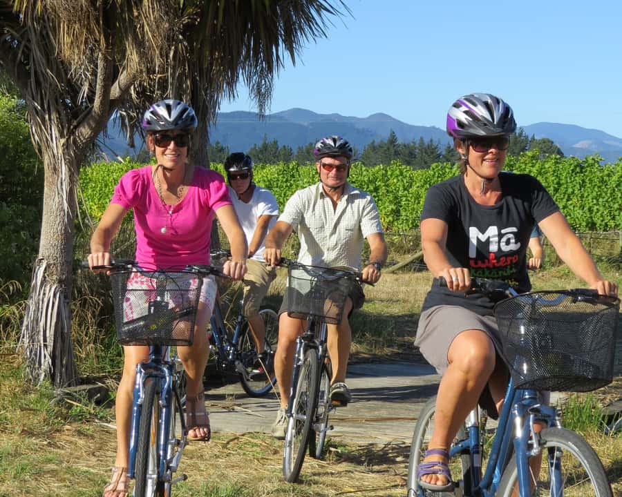 Marlborough: Half Guided and Half Self-Guided Bike Wine Tour - Why the half-guided format works so well