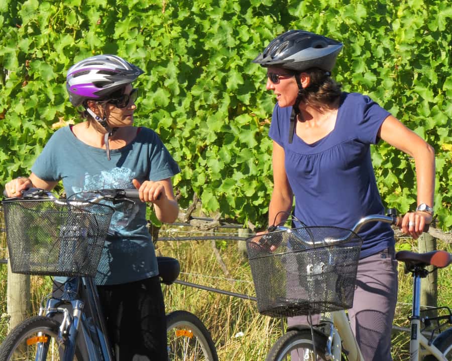 Marlborough: Half Guided and Half Self-Guided Bike Wine Tour - Gentle roads through Marlborough’s vineyards