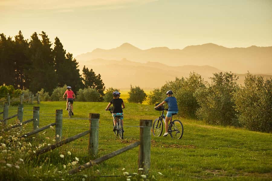 Marlborough: Half Guided and Half Self-Guided Bike Wine Tour - Setting out from Blenheim or Renwick at 9:15am