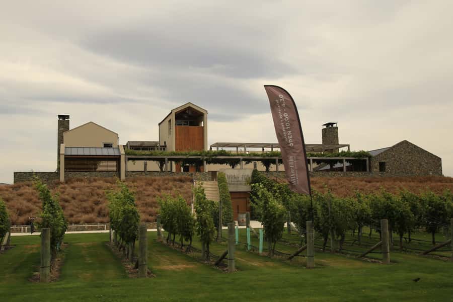 Marlborough: Hop-On Hop-Off Wine, Brewery, and Wonders Tour - What your day can include