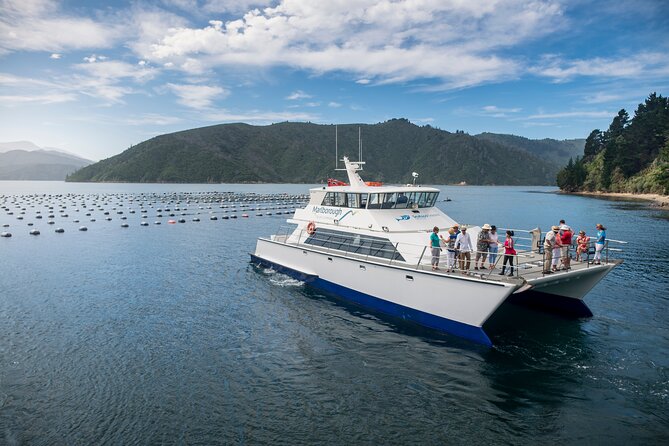 Marlborough Icons Tour - Wine tasting + Cruise - Should you book the Marlborough Icons Tour?