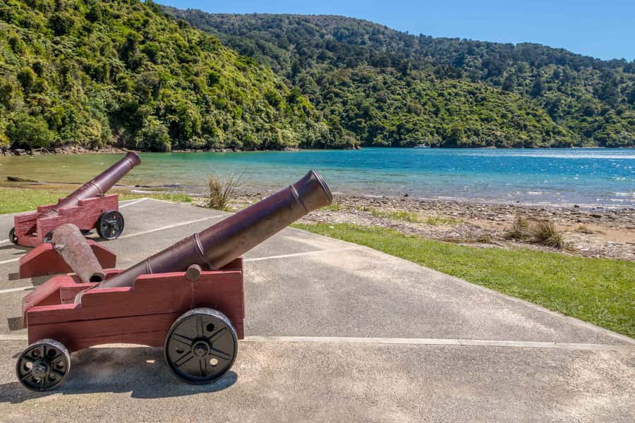 Marlborough Sounds and Ship Cove Cruise from Picton - Key points to know before booking