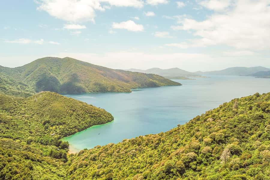 Marlborough Sounds and Ship Cove Cruise from Picton - Queen Charlotte Sound, viewed from the deck