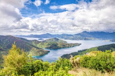 Marlborough Sounds and Ship Cove Cruise from Picton