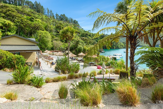 Marlborough Sounds Day Visit to Lochmara - Quick reasons to choose Lochmara