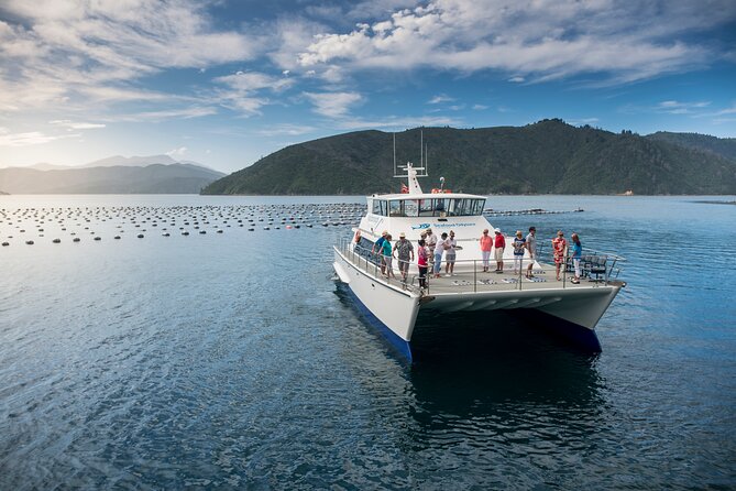 Marlborough Sounds Day Visit to Lochmara - Kayaks, paddle boards, and time on the bay