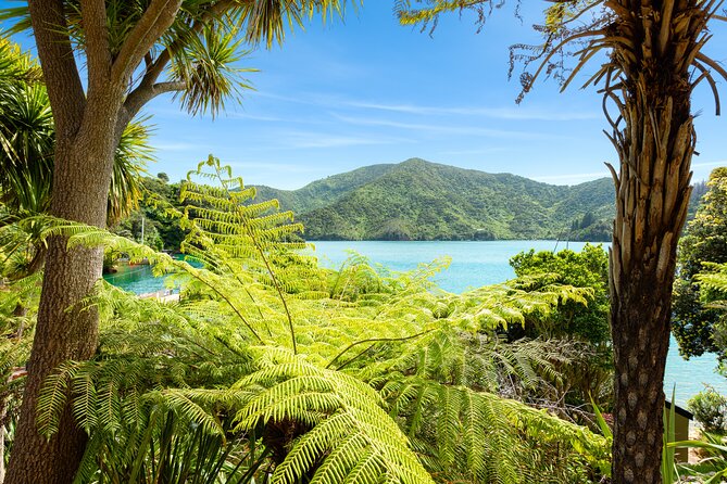 Marlborough Sounds Day Visit to Lochmara - Who gets the most from this day trip