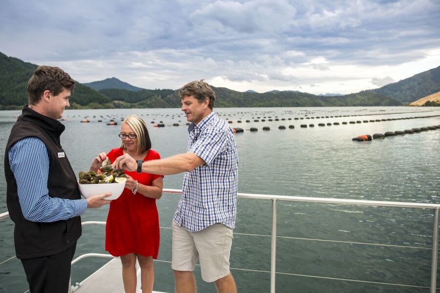 Marlborough Sounds: Greenshell Mussel Cruise - Fresh Greenshell mussels and New Zealand salmon