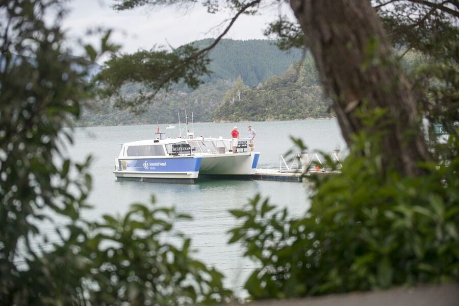 Marlborough Sounds: Greenshell Mussel Cruise - Is the $107 fare good value?