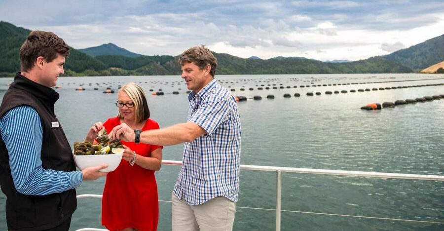 Marlborough Sounds: Greenshell Mussel Cruise - Who will enjoy this three-hour outing?