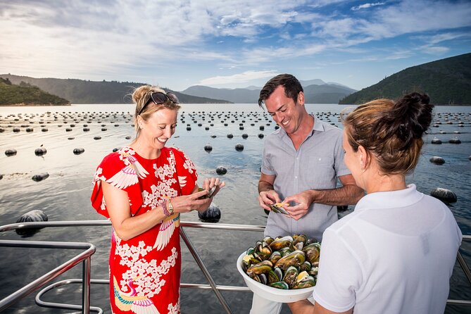 Marlborough Sounds Greenshell Mussel Tasting Cruise - Meeting at Picton Marina