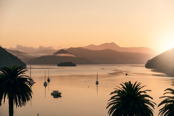 Marlborough Sounds Greenshell Mussel Tasting Cruise - Fresh greenshell mussels and salmon onboard