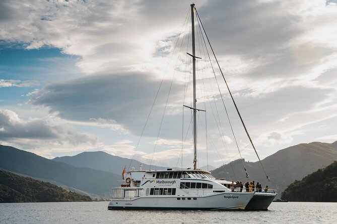 Marlborough Sounds Greenshell Mussel Tasting Cruise - Who will enjoy this cruise most