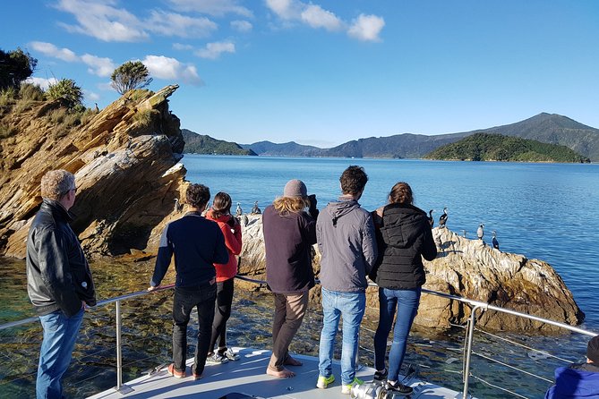 Marlborough Sounds Ultimate Cruise - Motuara Island and the uphill sanctuary walk