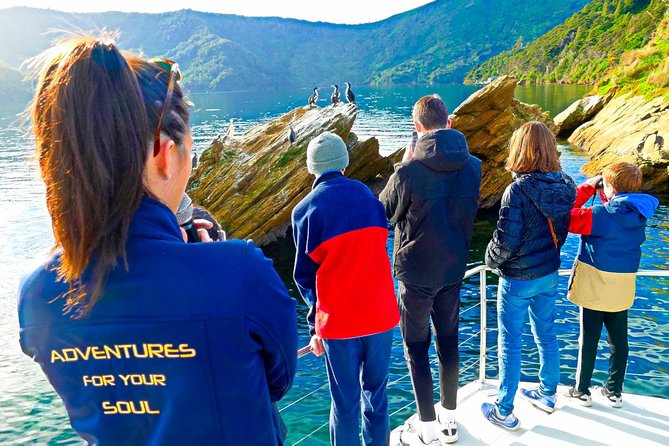 Marlborough Sounds Ultimate Cruise - What the crew adds to the four-hour cruise
