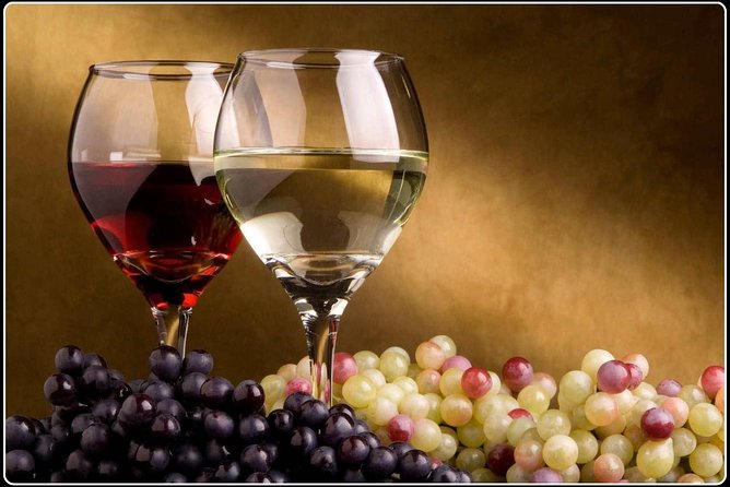 Marlborough Wine Region Tour from the Port of Picton - Forrest Wines offers the most personal stop