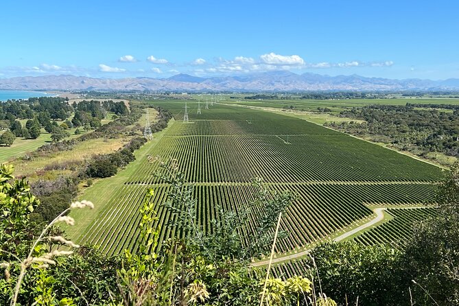 Marlborough Wine Region Tour from the Port of Picton - Nautilus Estate finishes with boutique pours