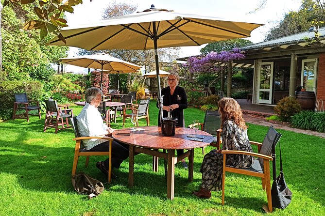 Marlborough Wine Tour - Afternoon Sippers of Wine Only 4hrs - Pickup, timing, and the no-driver advantage