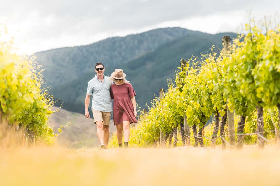 Marlborough: Wineries Visit and Tasting Session - Three cellar doors, three different views of Marlborough