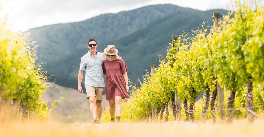 Marlborough: Wineries Visit and Tasting Session - Food, timing, and the small details that matter