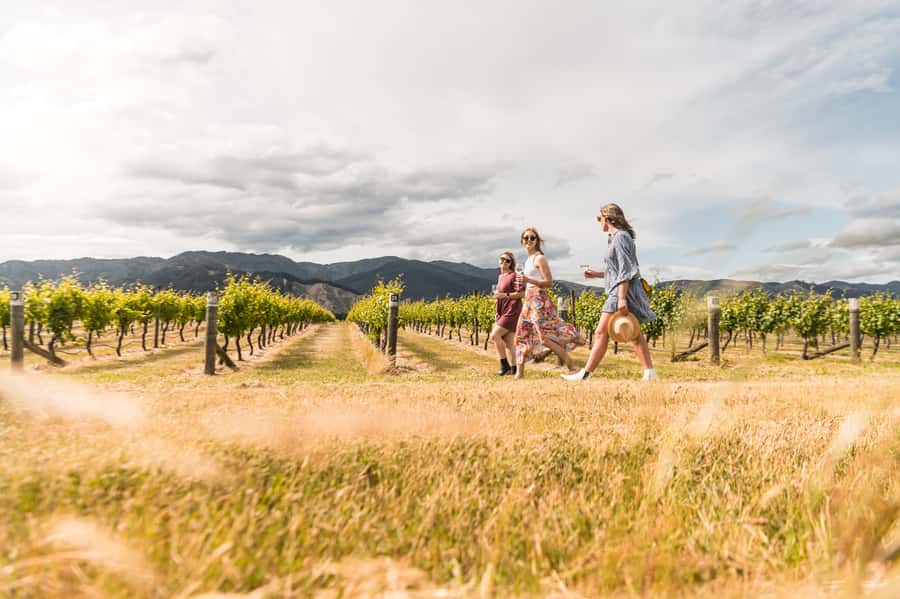 Marlborough: Wineries Visit and Tasting Session - What you actually taste at the wineries