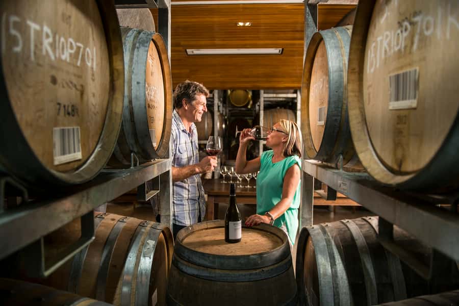 Marlborough: Wineries Visit with Tastings and 2-Course Lunch - Key points to know before booking