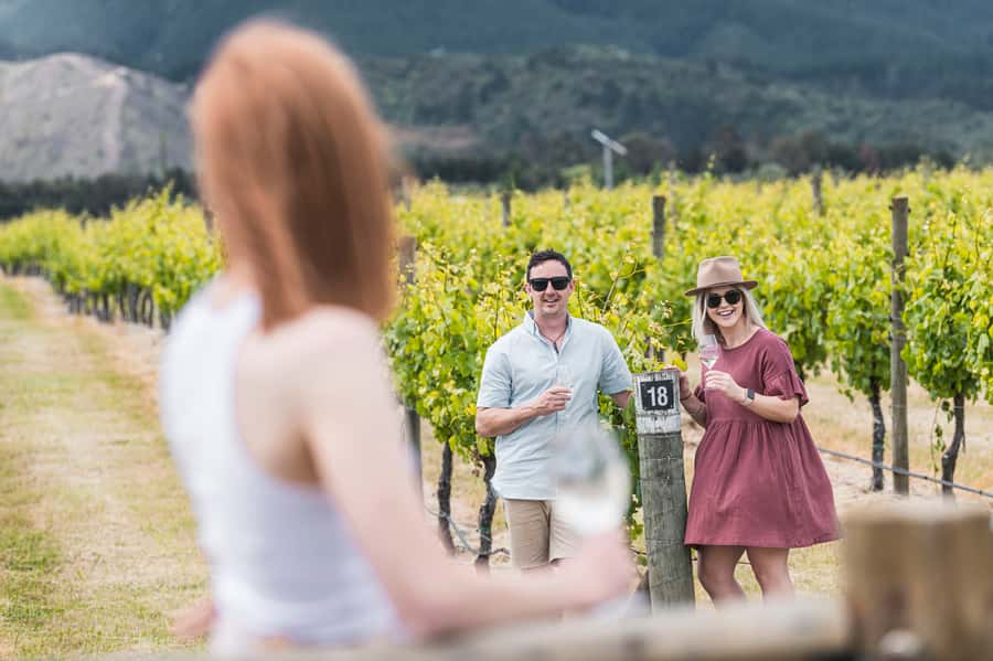 Marlborough: Wineries Visit with Tastings and 2-Course Lunch - Four wineries, with a possible fifth stop