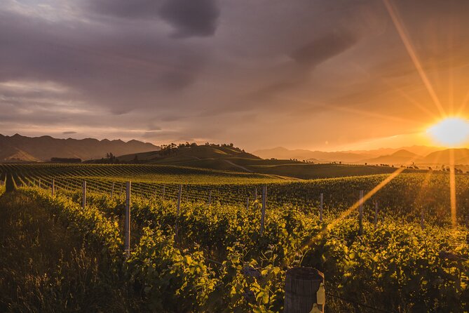 Marlborough Winery Tour - A Day of Cuisine & Wine 6hrs - A six-hour route through family wineries and boutique cellar doors