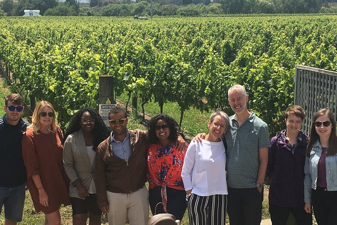 Martinborough Foodie Half Day Tour from Wellington - Crossing the Remutaka Ranges