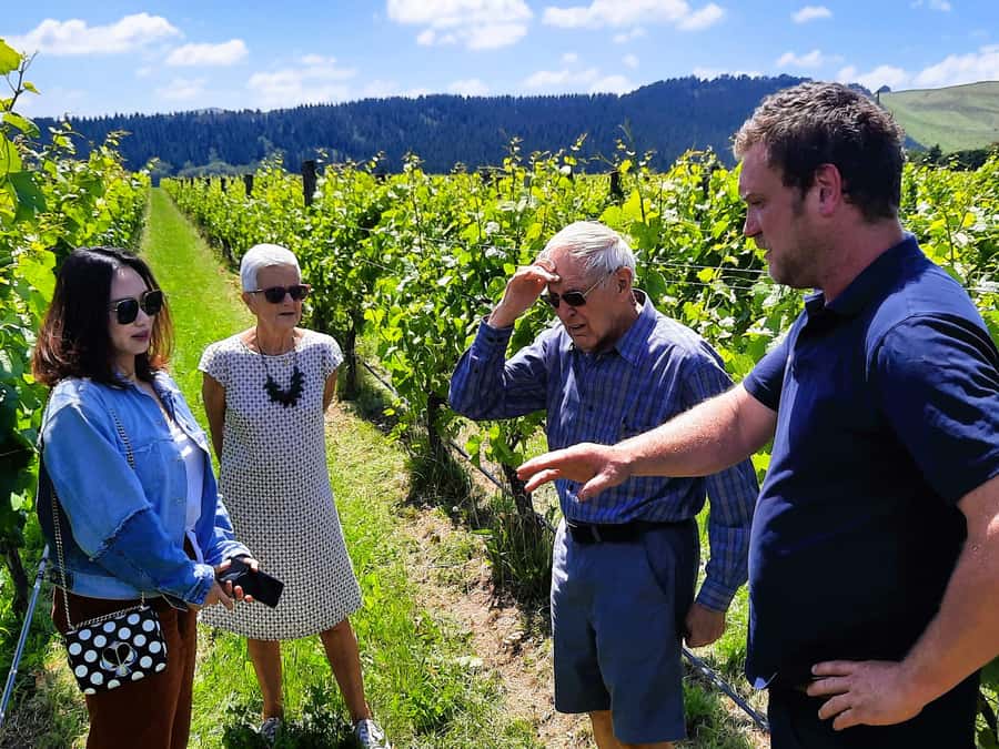 Martinborough Wine and Food Tour with Lunch from Wellington - From Wellington to the Remutaka summit