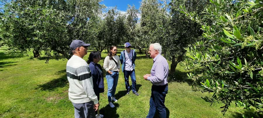 Martinborough Wine and Food Tour with Lunch from Wellington - What to bring and how to pace yourself