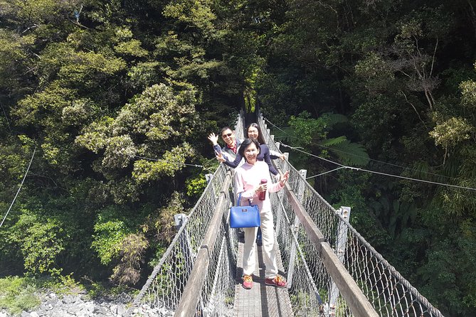 Martinborough Wine and Wild Coast Tour from Wellington - Kaitoke Regional Park and the swing bridge