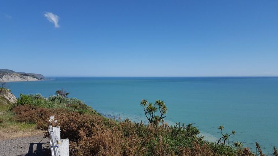 Martinborough Winery and South Wairarapa Wild Coast Tour - What the $229 price really covers